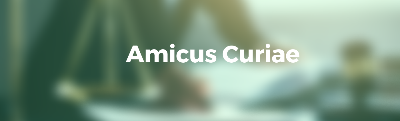 Amicus Curiae